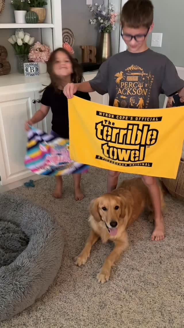 🖤💛🖤🏈💛🖤💛