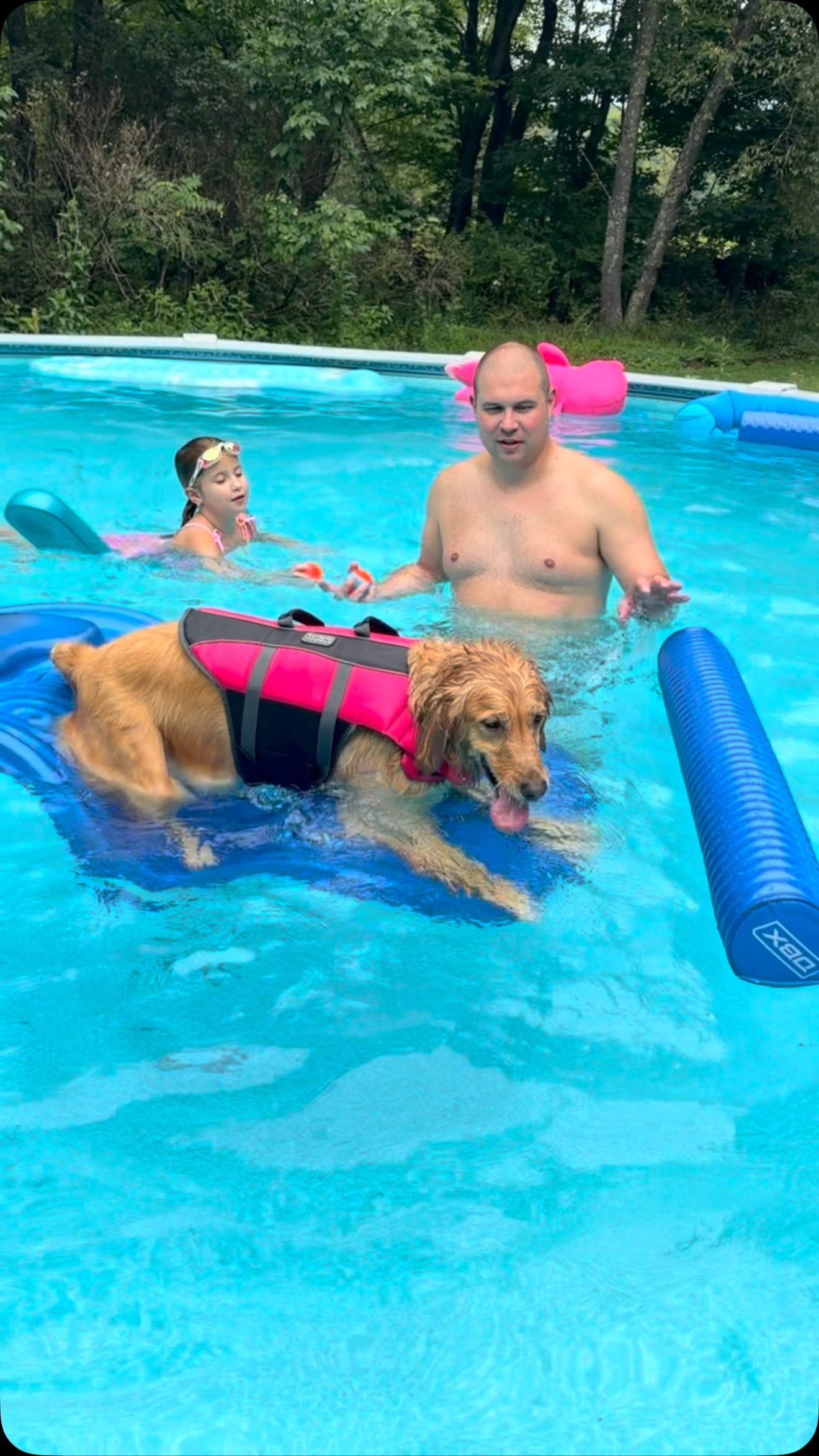 Ruby had the time of her life swimming today! 

Always chasing her ball! 

#puppylove #goldenretrieverlove #spoiled
